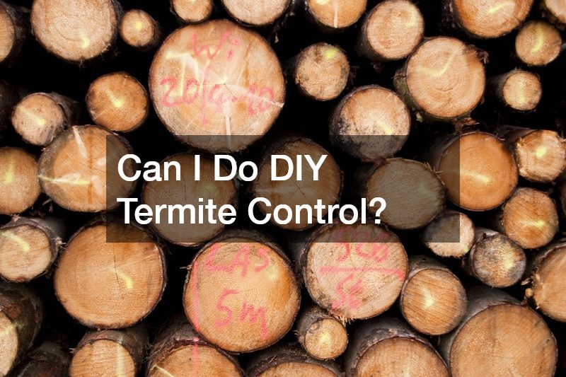 Can I Do DIY Termite Control?